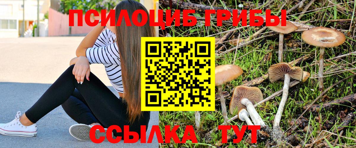 Псилоцибиновые грибы ЛСД Муравленко